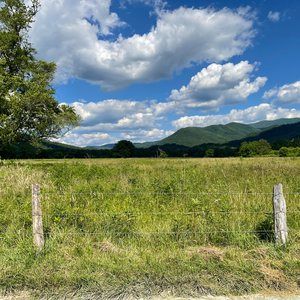 Meet your Posher, Regina